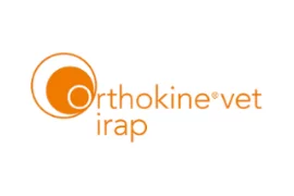 rthokin - logo